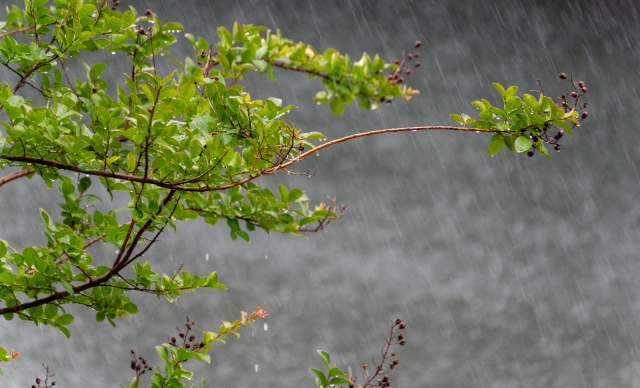 レクトプルーフ　メリット　雨